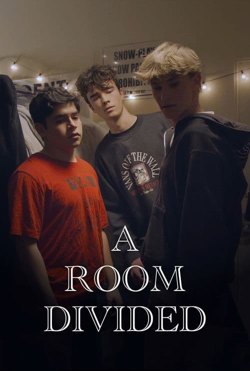 A Room Divided poster