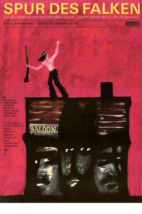 Trail of the Falcon poster