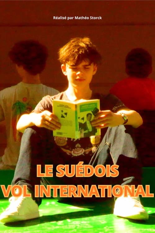 Le suédois - Vol International poster