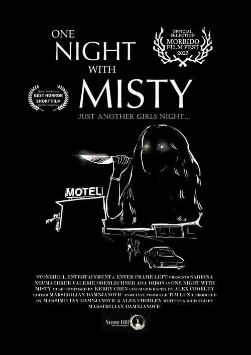 One Night with Misty poster