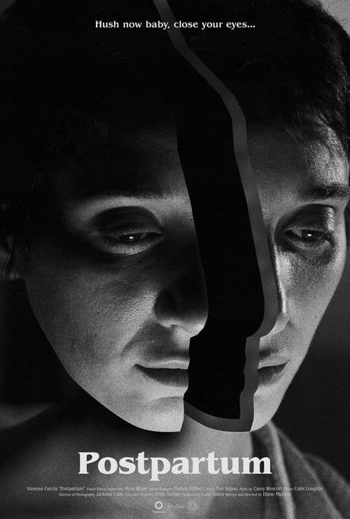 Postpartum poster
