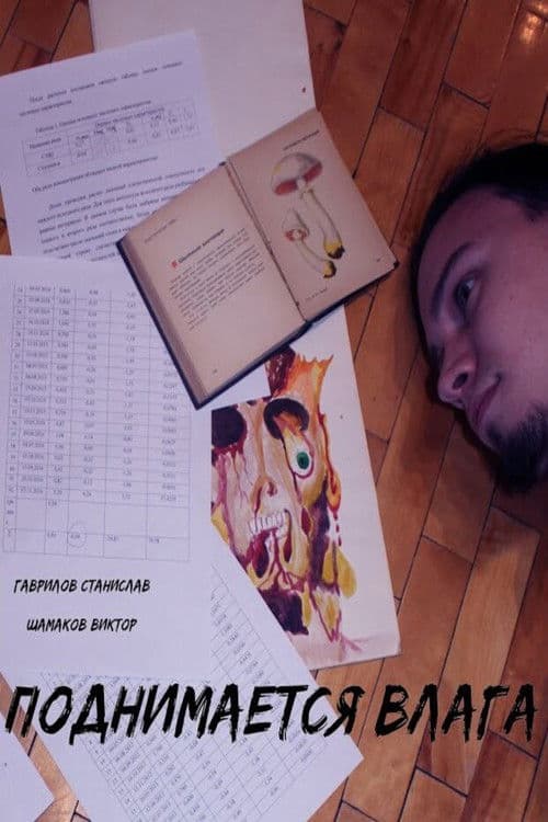 Moisture rises poster