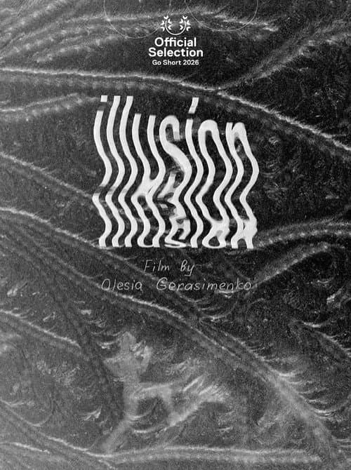 Illusion poster