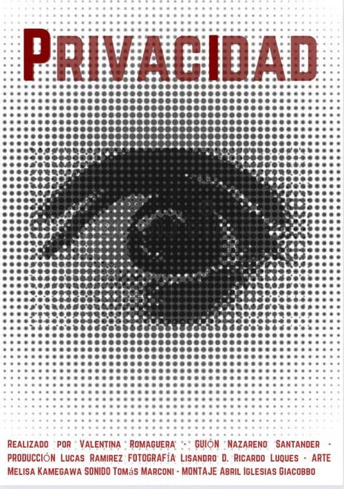 Privacidad poster
