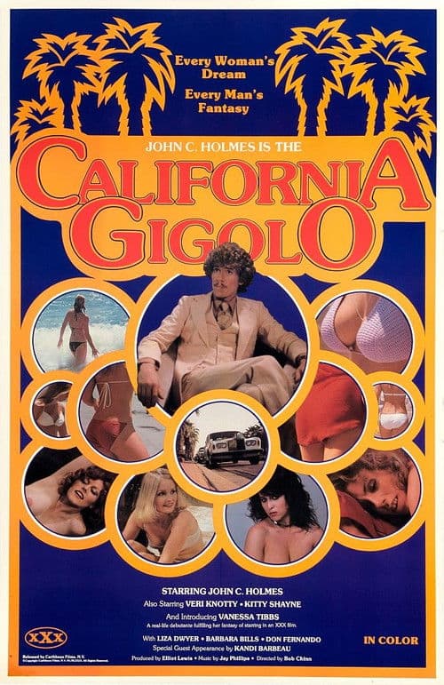 California Gigolo poster