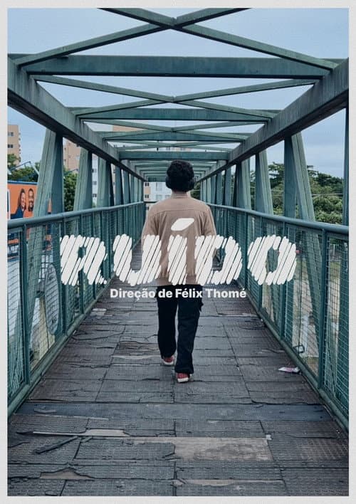 Ruído poster