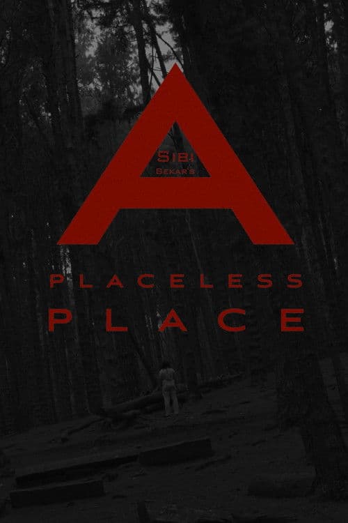 a placeless place poster