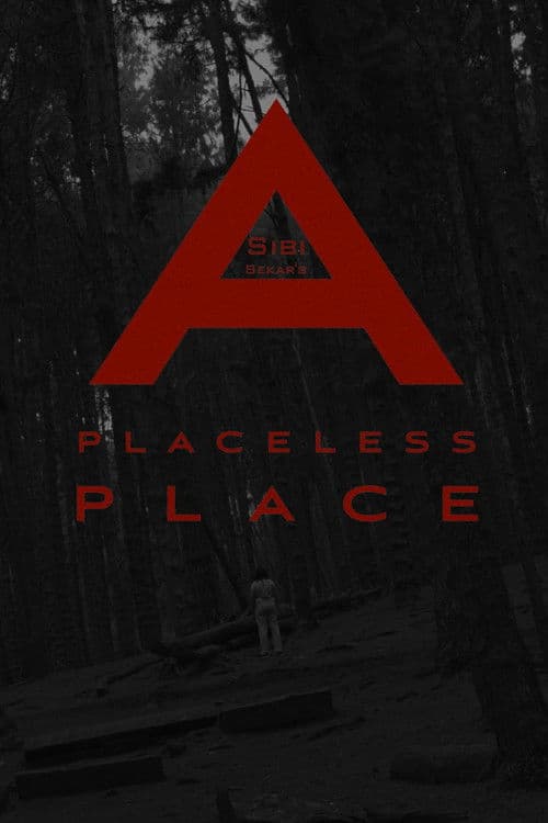 a placeless place poster