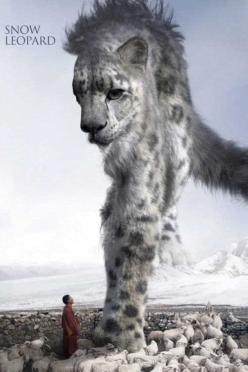 Snow Leopard poster