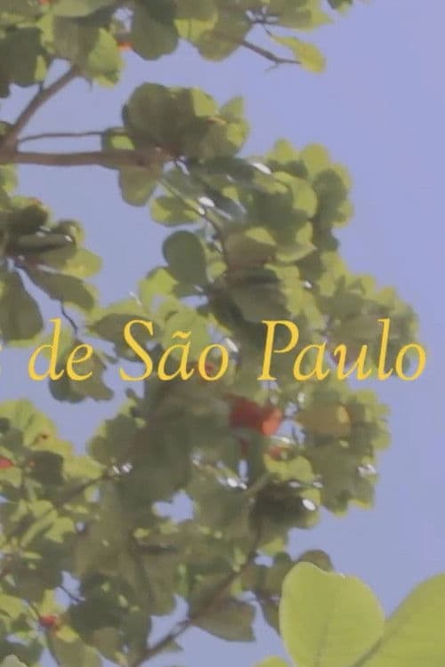 News from São Paulo poster