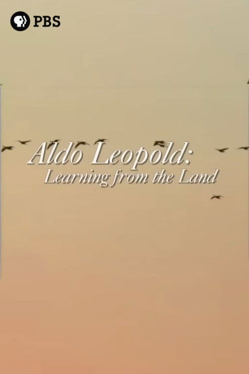 Aldo Leopold: Learning from the Land poster