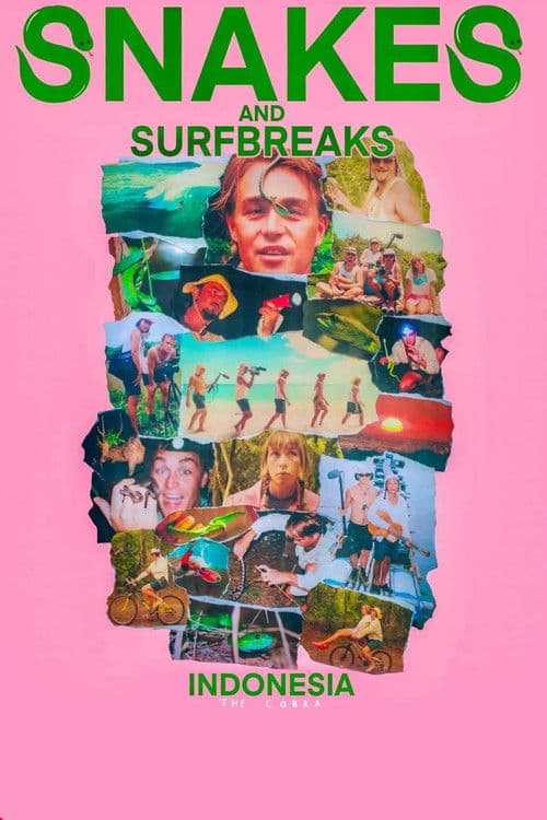 Snakes and Surf Breaks poster