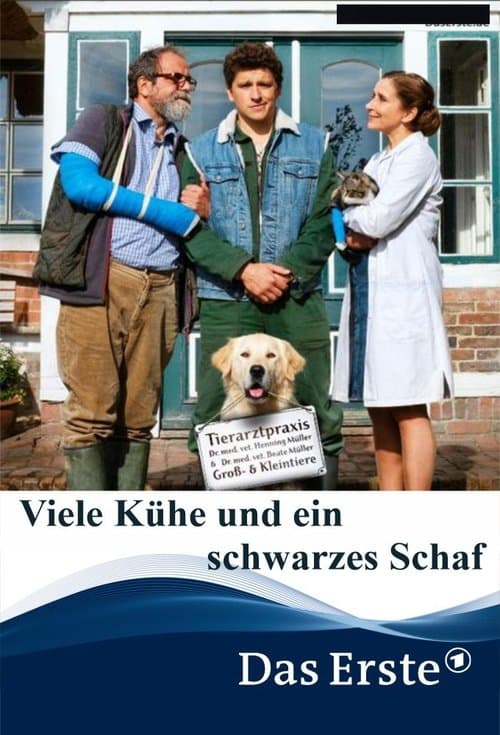 Viele Kühe und ein schwarzes Schaf poster