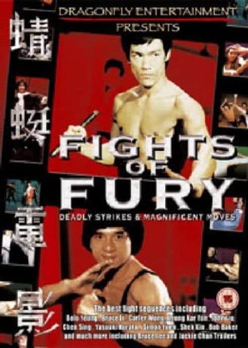 Fights of Fury poster