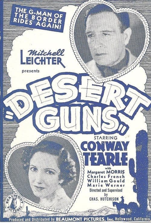 Desert Guns poster