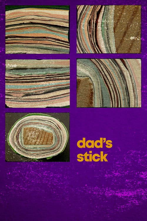 Dad's Stick poster