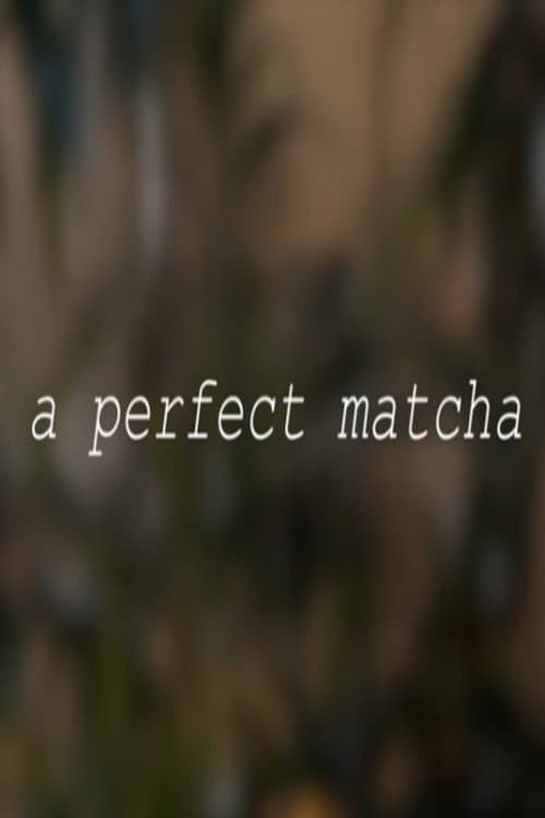 A Perfect Matcha poster