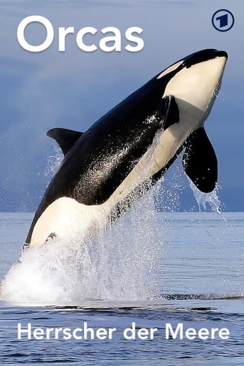 Orcas - Herrscher der Meere poster