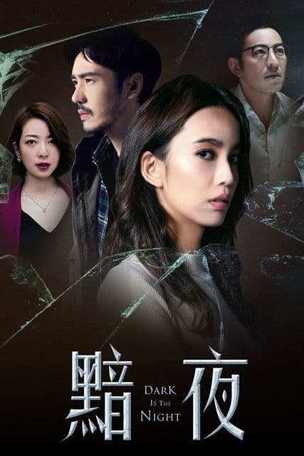 Dark Is The Night poster