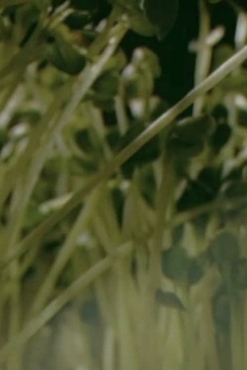 From Magic Myxies to the Blob (Secrets of Nature #1) poster