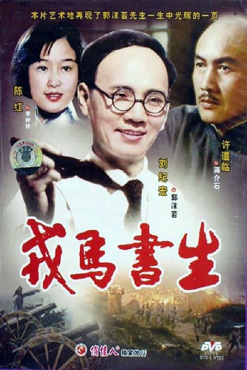 戎马书生 poster