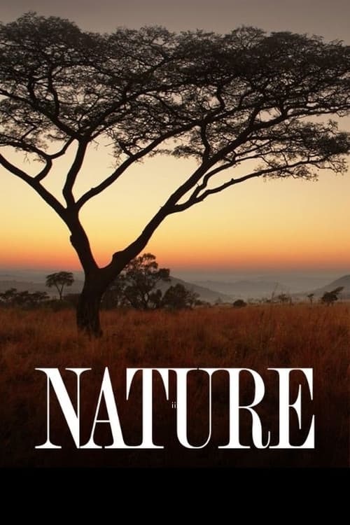 Nature poster