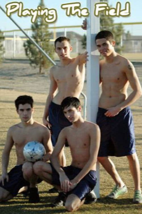 Playing the Field poster