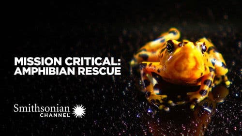 Mission Critical: Amphibian Rescue poster