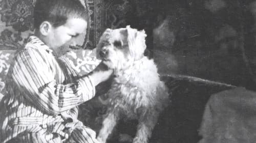 Stained Carpet poster