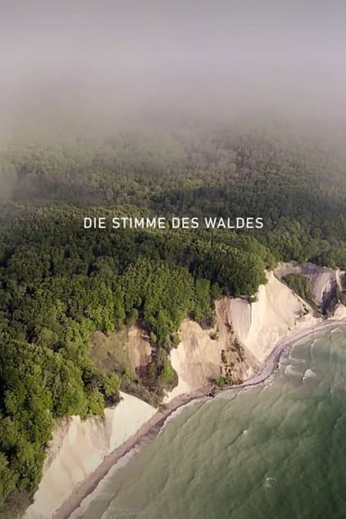 Die Stimme des Waldes poster