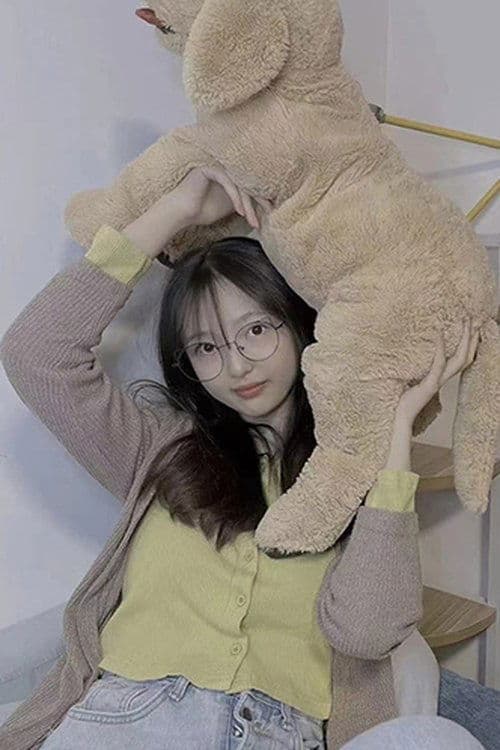 刘知否 profile photo