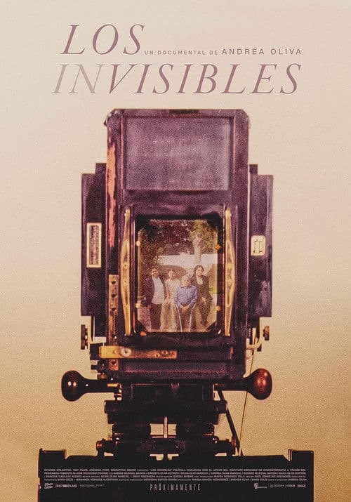 The Invisibles poster