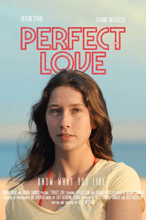 Perfect Love poster