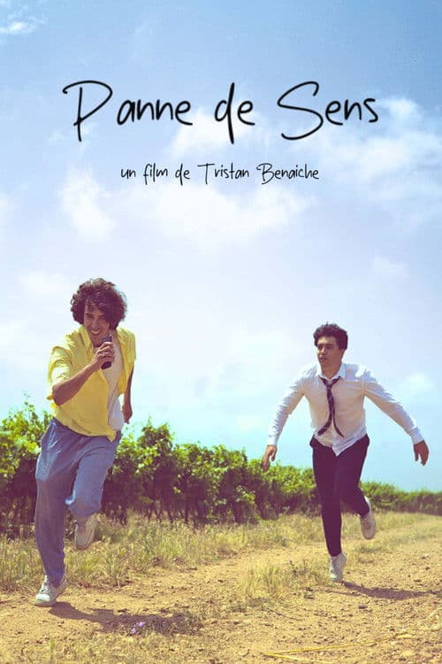 Panne De Sens poster