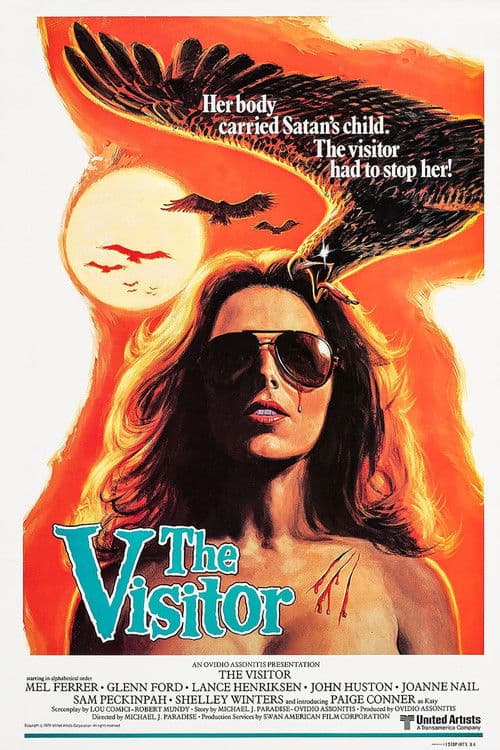 The Visitor poster