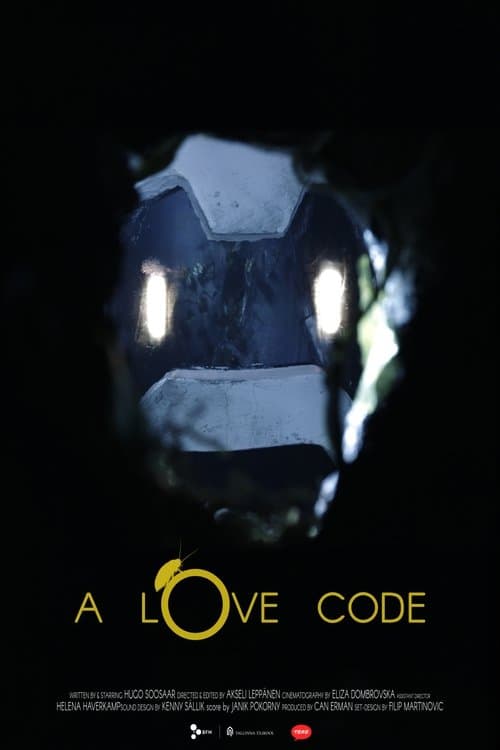 A Love Code poster