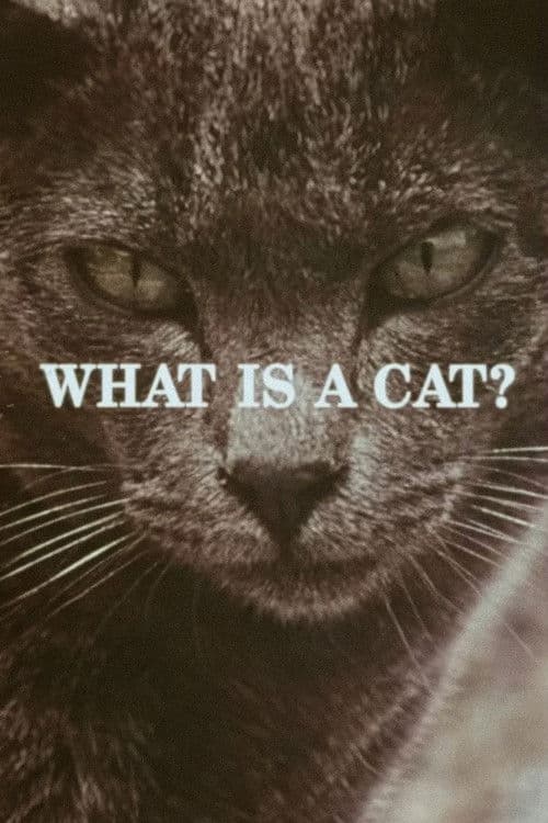 What Is a Cat? poster