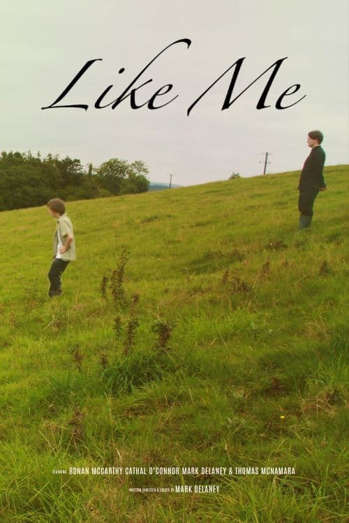 Like Me poster