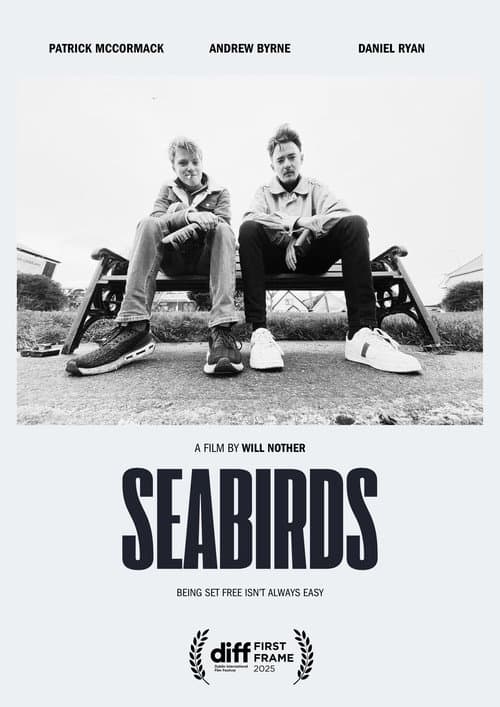 Seabirds poster