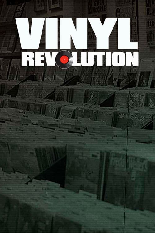 Vinyl Revolution poster