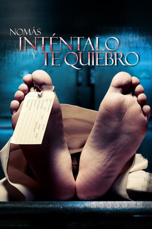 Nomás inténtalo y te quiebro poster