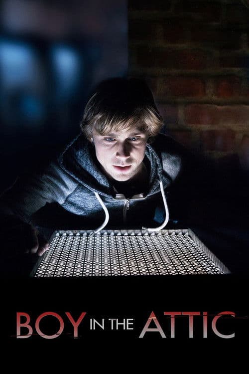 Secrets in the Attic poster