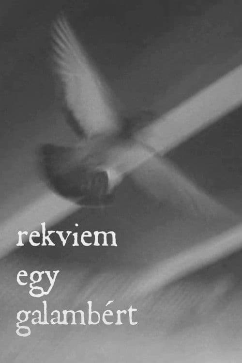 Rekviem egy galambért poster