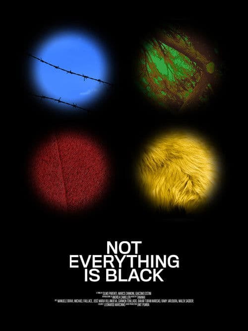 Not Everything Is Black poster