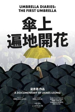 Umbrella Diaries: The First Umbrella poster
