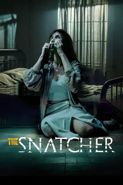 The Snatcher poster