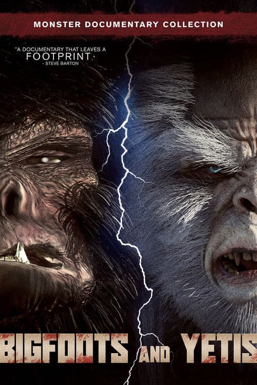 Bigfoots and Yetis poster