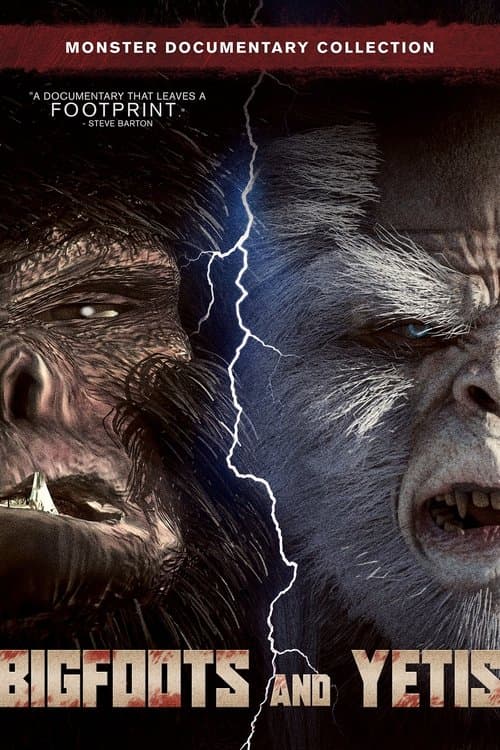 Bigfoots and Yetis poster