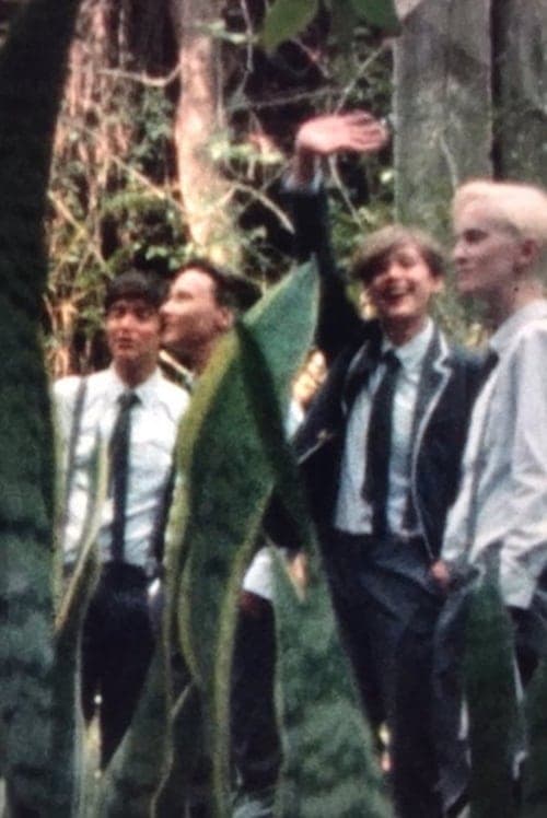 Next to the volcano poster