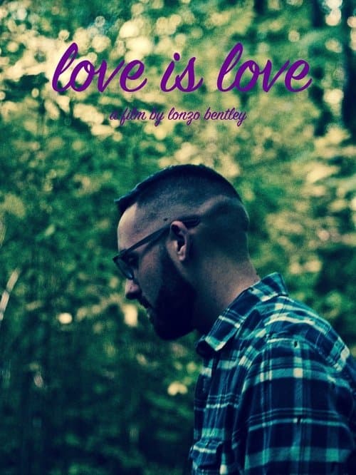 Love Is Love poster